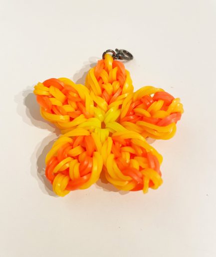 06 LeLoom Product